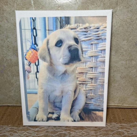 Labrador retriever puppy canvas - Picture 1 of 1